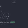 High performance, extensible, minimalist Go web framework | Echo